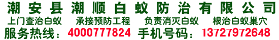 潮州白蟻防治,潮州白蟻滅治,潮州裝修防白蟻,潮州殺蟲滅鼠,潮州滅蟑螂臭蟲,潮州除四害-廣東省潮州市潮安縣潮順白蟻害防治有限公司